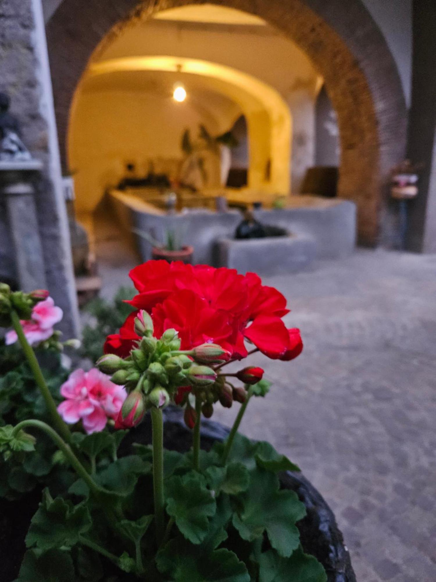 L' Antico Lavatoio Bed & Breakfast Rignano Flaminio Eksteriør bilde