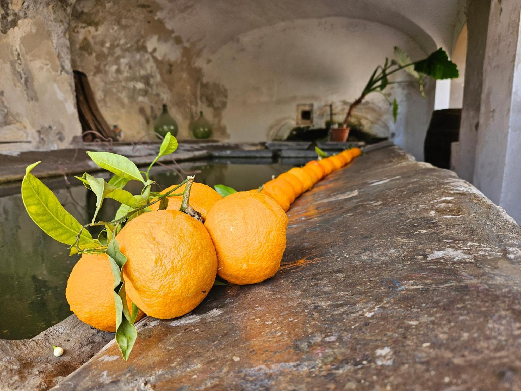 L' Antico Lavatoio Bed & Breakfast Rignano Flaminio Eksteriør bilde