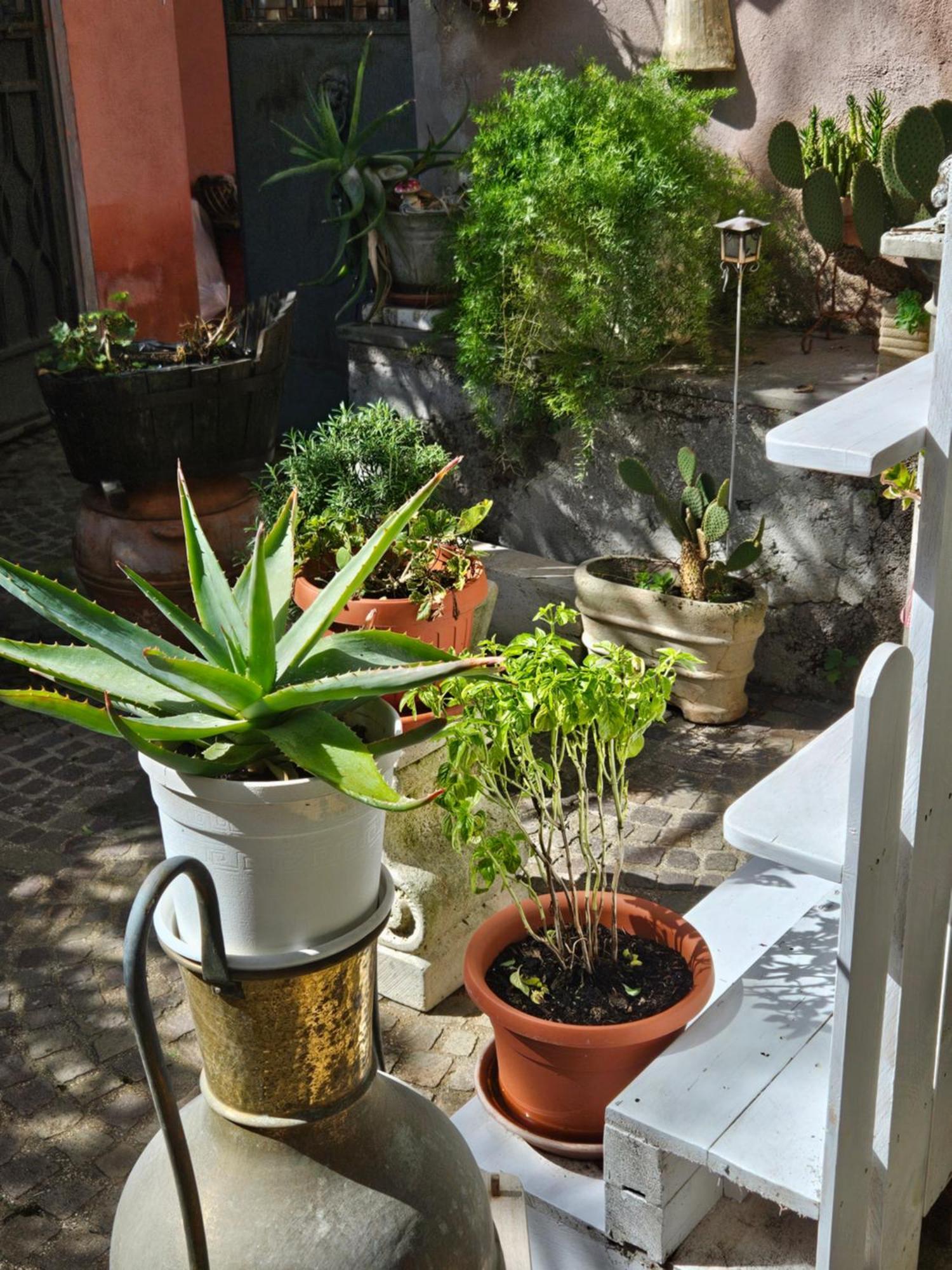 L' Antico Lavatoio Bed & Breakfast Rignano Flaminio Eksteriør bilde